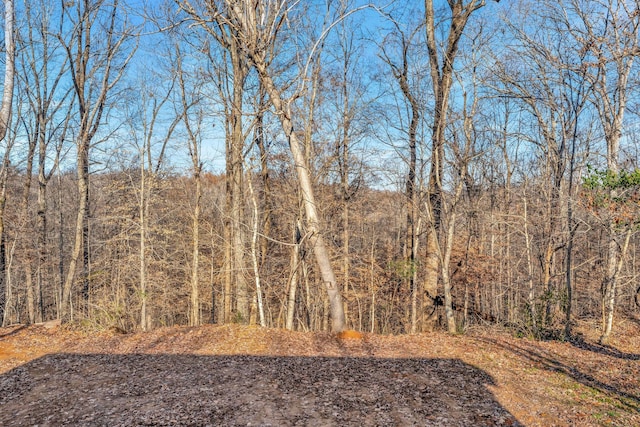 view of local wilderness