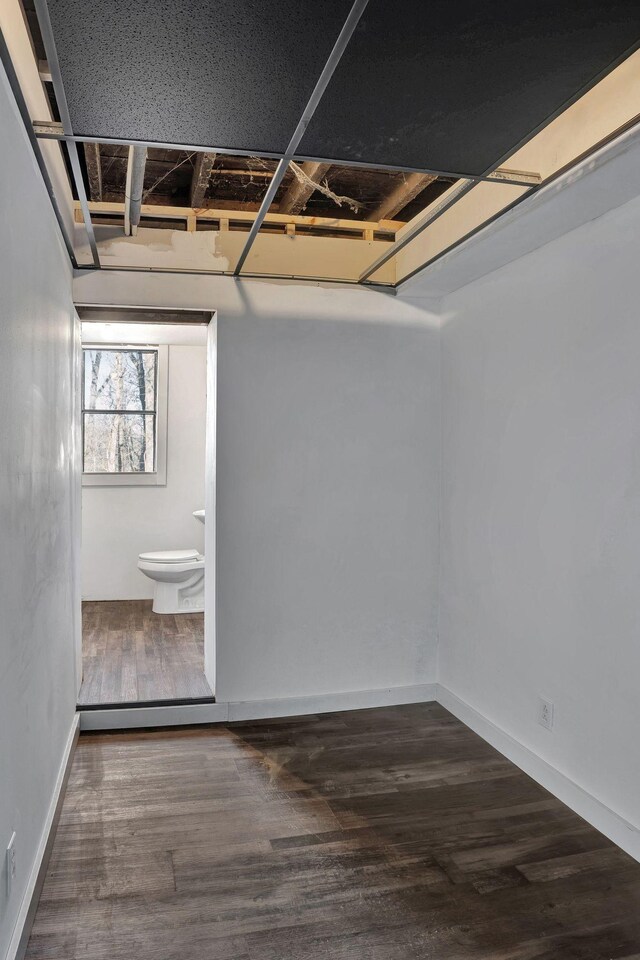 basement featuring dark hardwood / wood-style floors