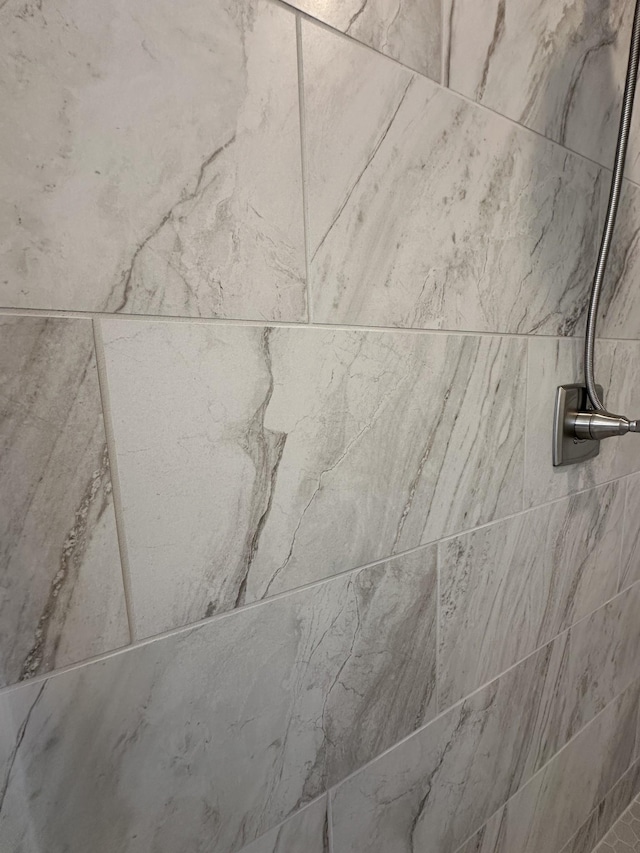 interior details featuring a tile shower