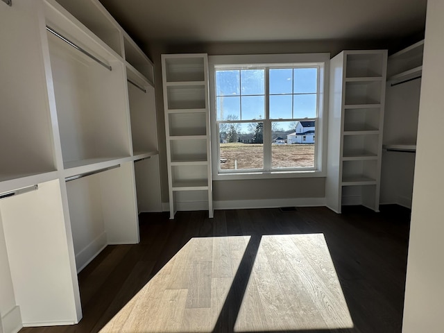 spacious closet with dark wood-type flooring