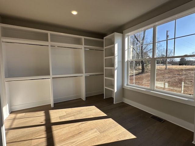 spacious closet featuring dark hardwood / wood-style flooring