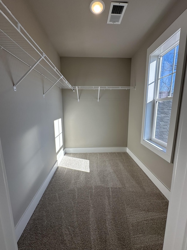 spacious closet featuring carpet flooring