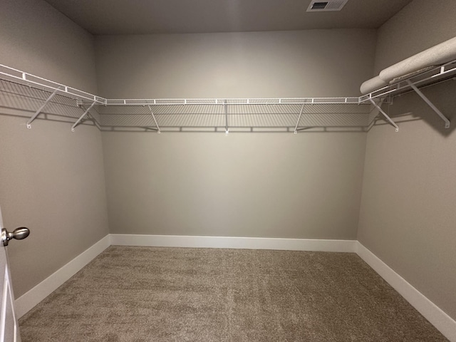 spacious closet with carpet flooring