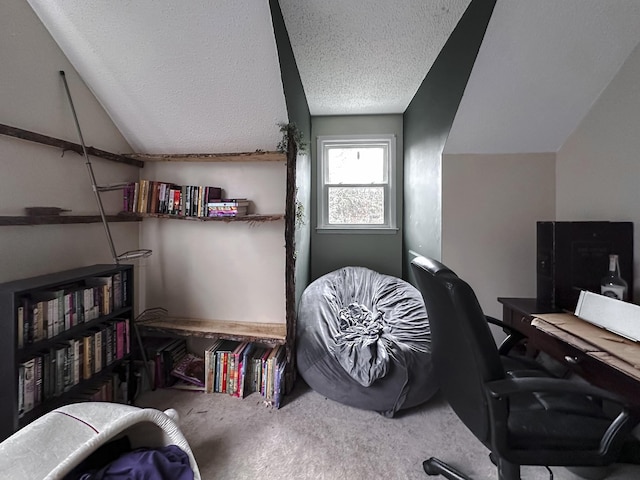 office space with a textured ceiling, carpet floors, and lofted ceiling