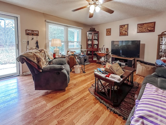 living room featuring a wealth of natural light, light hardwood / wood-style floors, and a textured ceiling