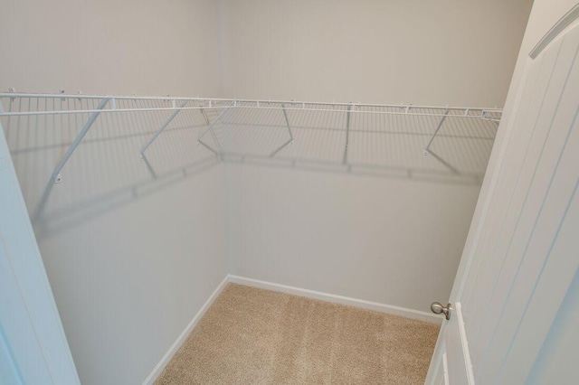 walk in closet with light carpet