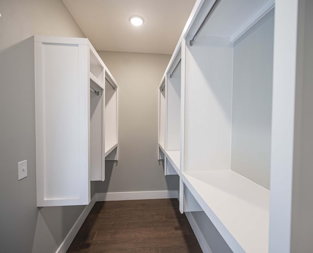 spacious closet with dark wood-type flooring