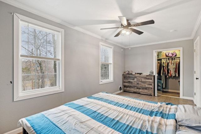 bedroom featuring ceiling fan, crown molding, wood-type flooring, a spacious closet, and a closet