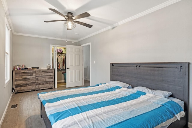 bedroom featuring ceiling fan, crown molding, a walk in closet, a closet, and hardwood / wood-style flooring