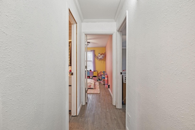 hallway with light hardwood / wood-style floors and ornamental molding