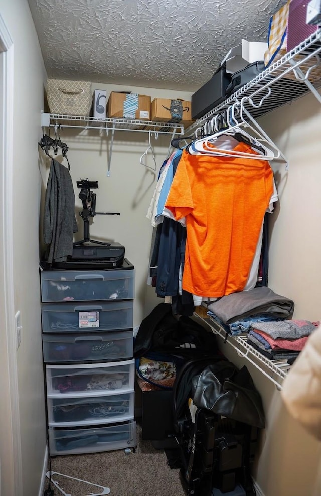 walk in closet featuring carpet