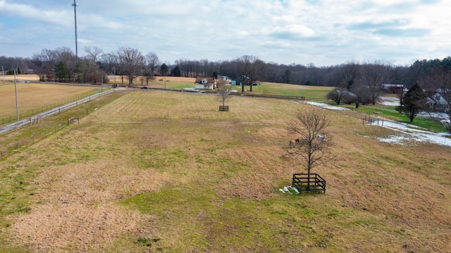 view of yard with a rural view