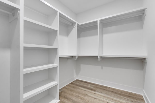 walk in closet featuring wood-type flooring