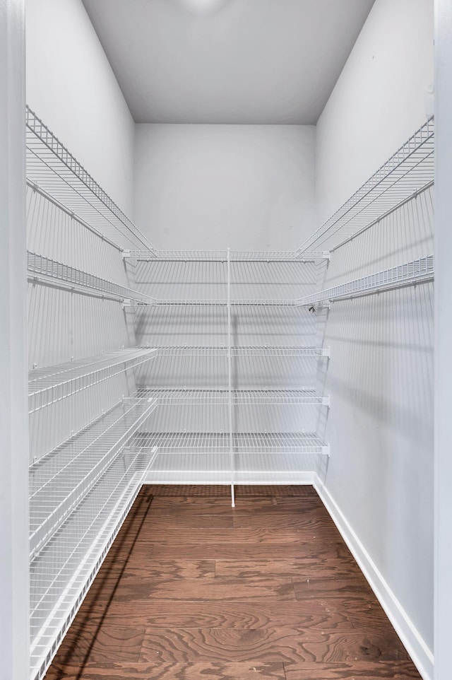 walk in closet with wood-type flooring