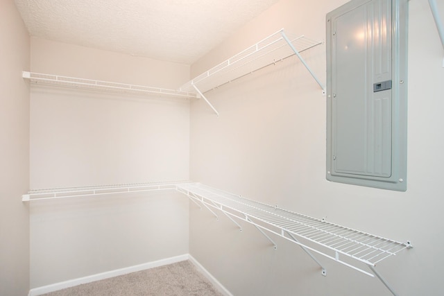 walk in closet with carpet flooring and electric panel