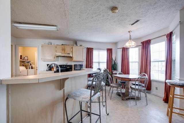 kitchen with a wealth of natural light, light brown cabinetry, pendant lighting, and independent washer and dryer