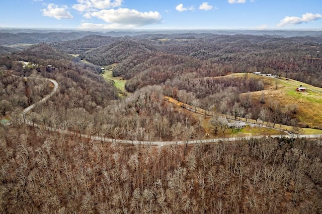 birds eye view of property featuring a mountain view