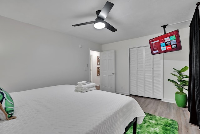 bedroom featuring ceiling fan, a closet, and wood-type flooring