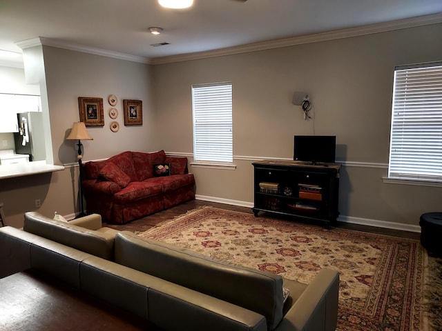 living room with crown molding and plenty of natural light