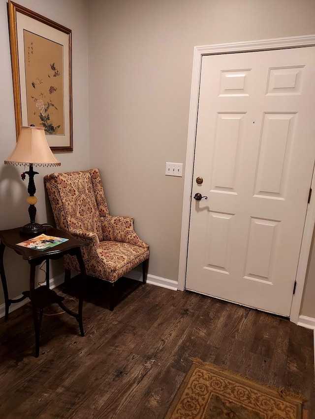 living area featuring dark wood-type flooring