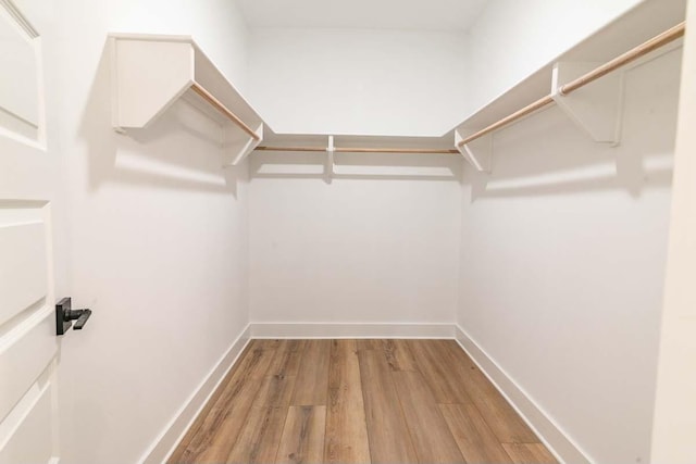 spacious closet featuring light hardwood / wood-style flooring