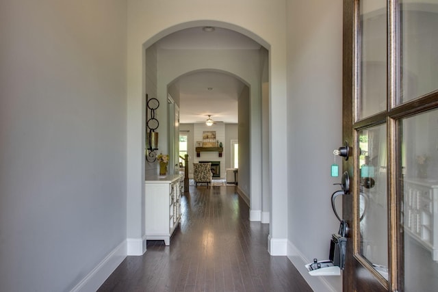 entryway featuring dark hardwood / wood-style floors