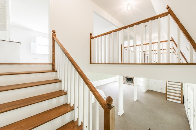 staircase with carpet flooring