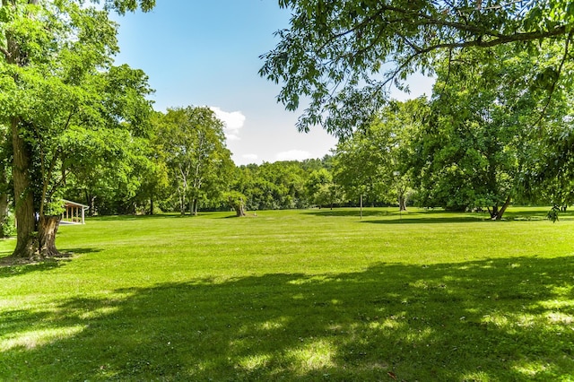 view of home's community featuring a yard