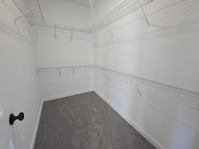 spacious closet with carpet floors