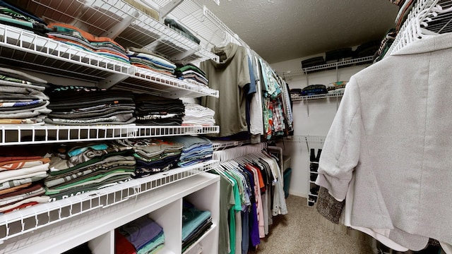 view of walk in closet