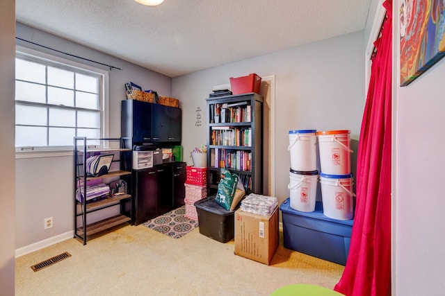 miscellaneous room with light colored carpet and a textured ceiling