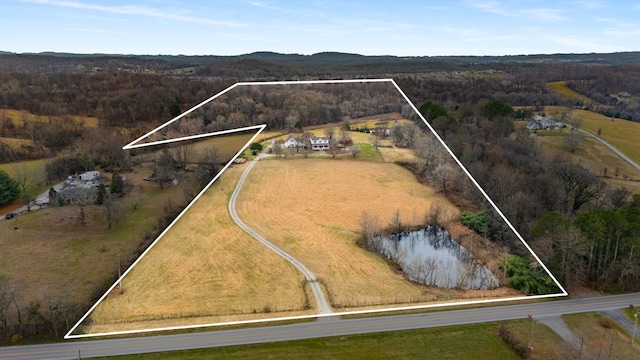 drone / aerial view with a water view and a rural view