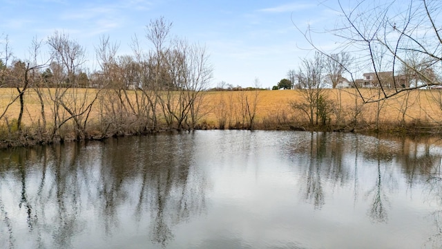 view of water feature