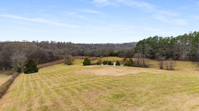 view of yard featuring a rural view