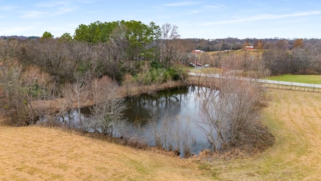 view of water feature