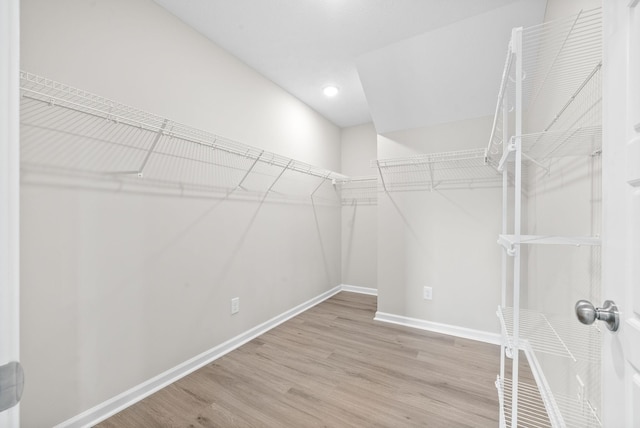 spacious closet with light wood-type flooring