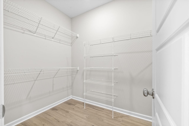 walk in closet with hardwood / wood-style flooring