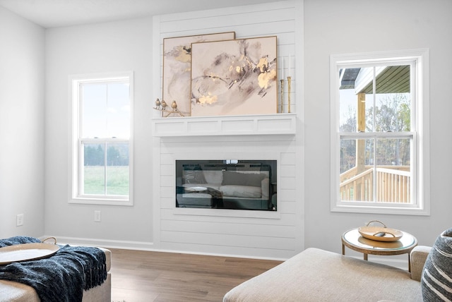 living room with hardwood / wood-style floors