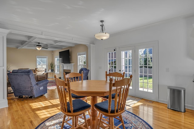 dining space featuring french doors, ornamental molding, coffered ceiling, ceiling fan, and beamed ceiling