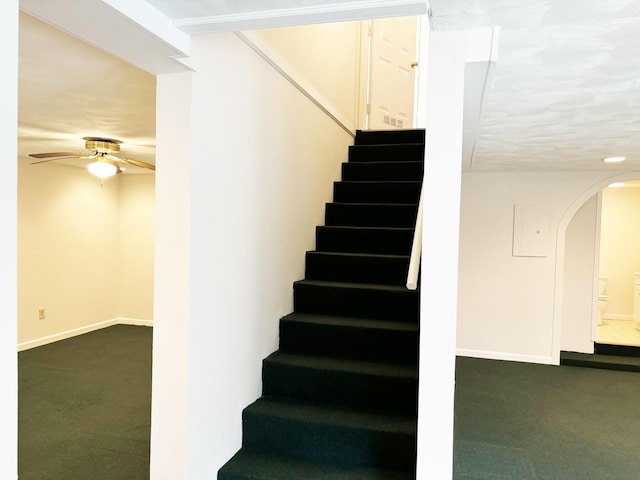 stairs featuring carpet and ceiling fan