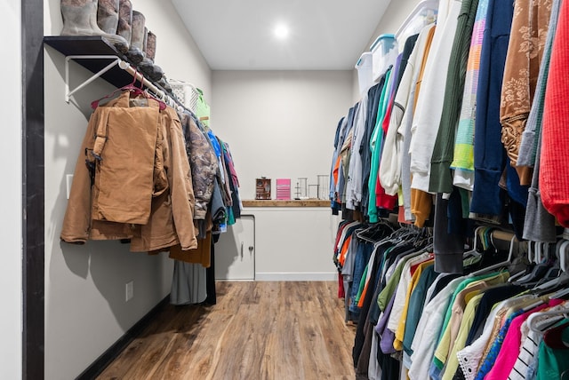 spacious closet with hardwood / wood-style flooring