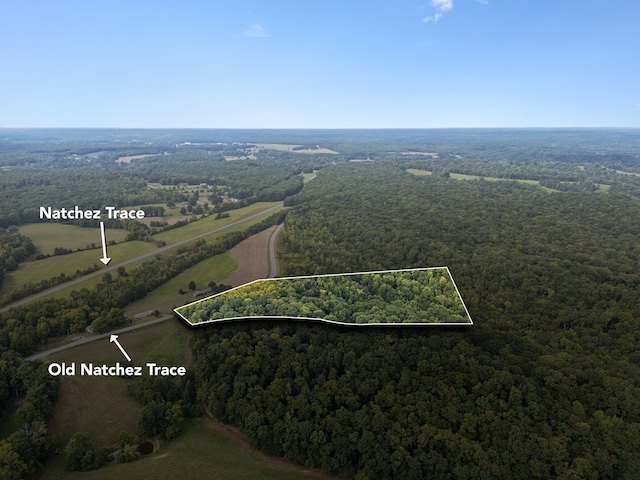 0 Old Natchez Trce, Primm Springs TN, 38476 land for sale