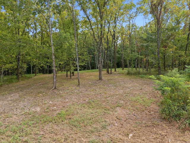 Listing photo 3 for 0 Old Natchez Trce, Primm Springs TN 38476