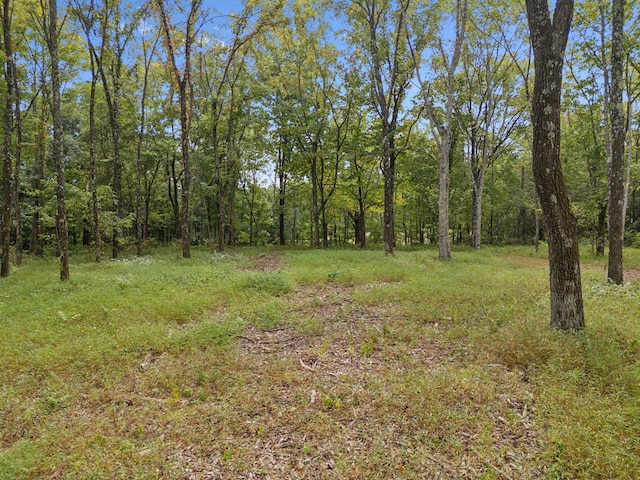 Listing photo 2 for 0 Old Natchez Trce, Primm Springs TN 38476