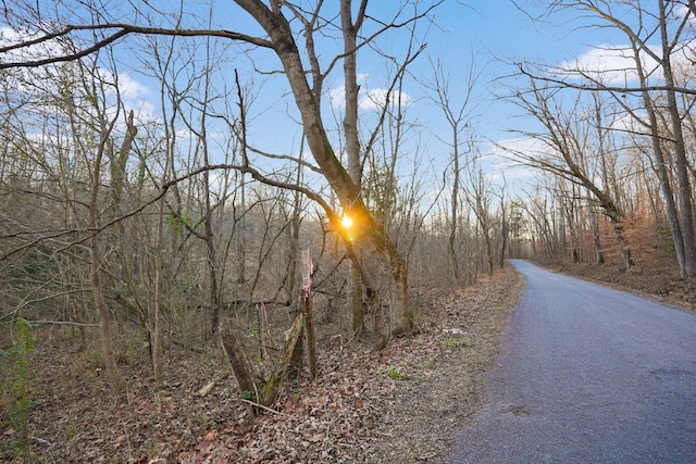 0 Melton Springs Rd, Big Rock, TN 37023 - photo 10