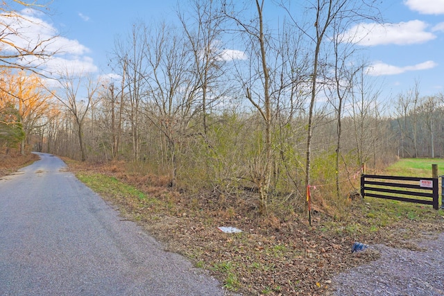 0 Melton Springs Rd, Big Rock TN, 37023 land for sale