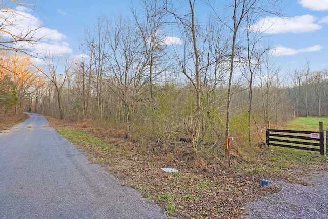 0 Melton Springs Rd, Big Rock, TN 37023 - photo 3