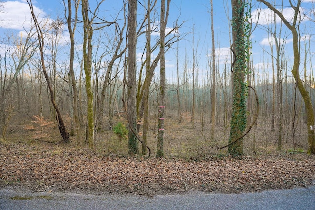 0 Melton Springs Rd, Big Rock, TN 37023 - photo 8