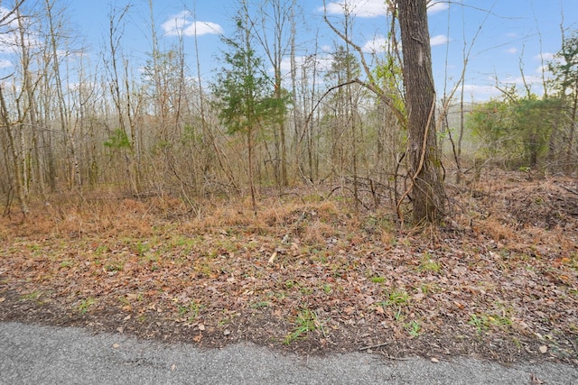 Listing photo 3 for 0 Melton Springs Rd, Big Rock TN 37023