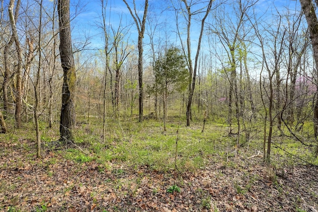 0 Melton Springs Rd, Big Rock, TN 37023 - photo 4